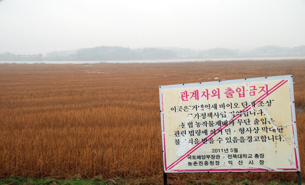 4대강 사업으로 조성된 거대억새 바이오 단지를 알리는 경고표지판