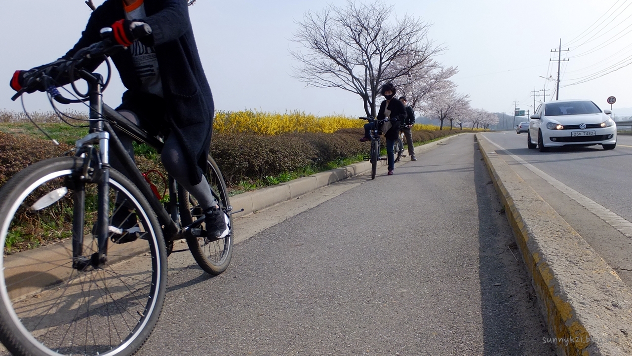 호국돈대길 옆 해안도로가에 안전하게 난 자전거도로. 