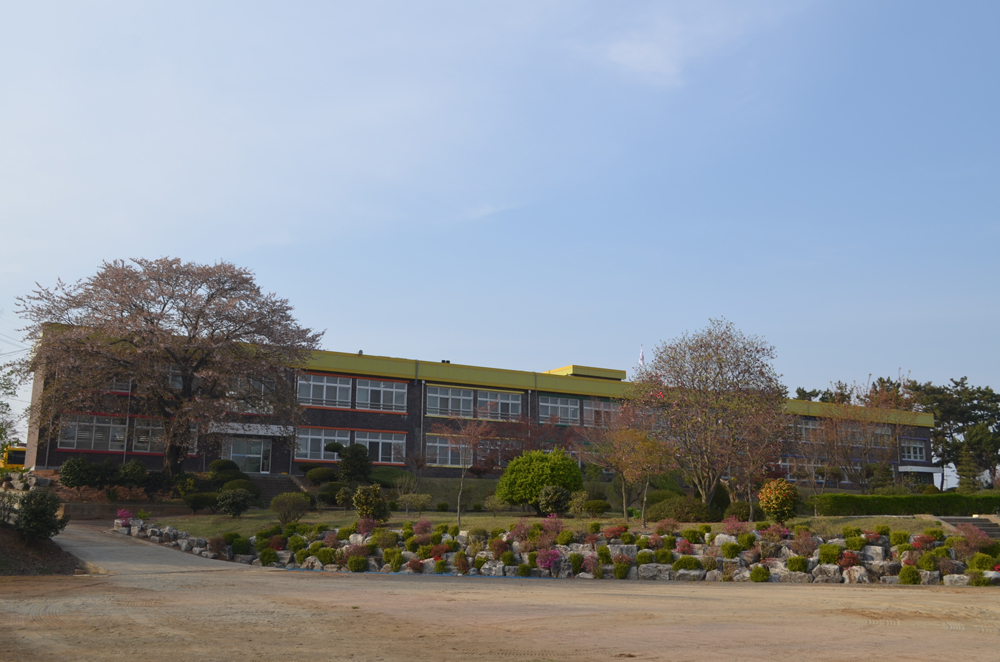 충남태안읍송암리에 위치한 송암초등학교는 유난히 정원이 넓은 전원속의 농촌학교이다