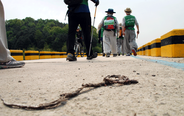 도심과 가까운 자전거도로에는 수많은 생명이 로드킬로 죽어가고 있다.