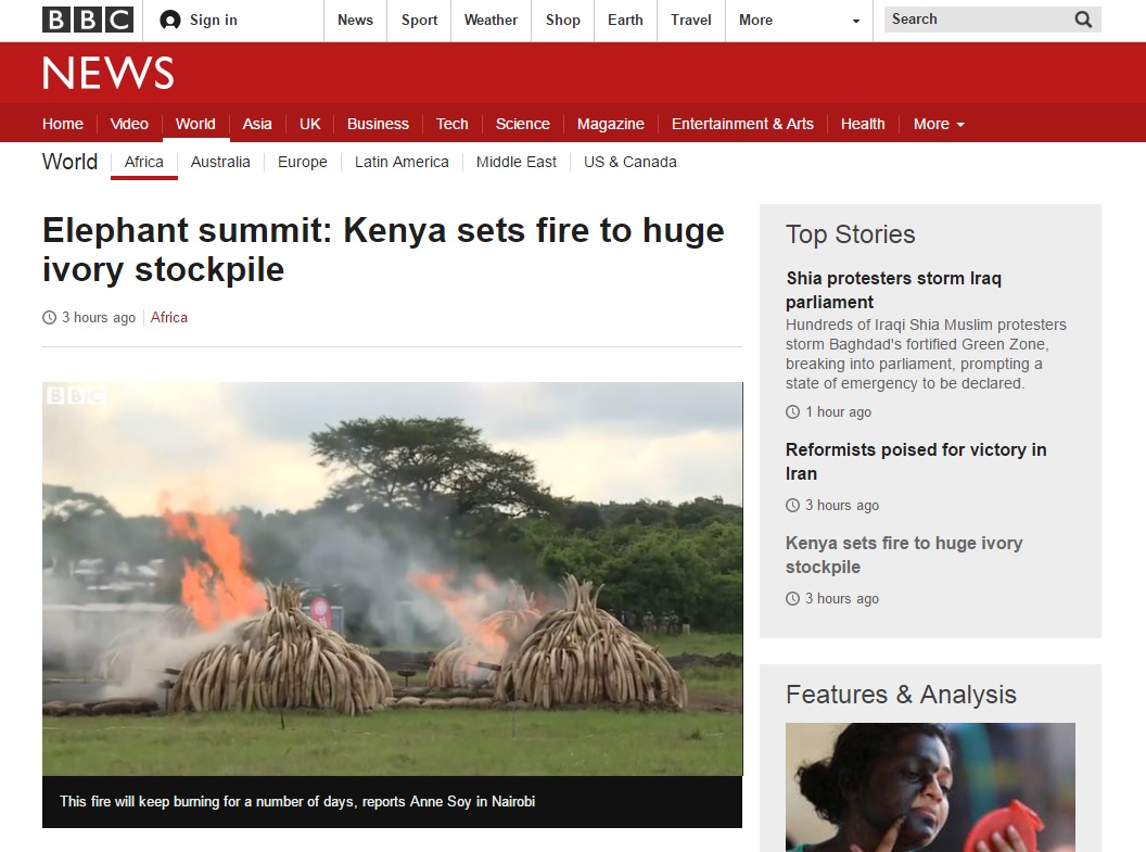 케냐 정부의 상아 소각을 보도하는 BBC 뉴스 갈무리.