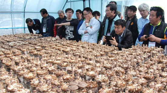 교육생들이 늘픔농원(신양 시왕리)의 표고버섯배지 생산에 관한 설명을 듣고 있다. 