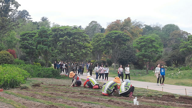 순천만 정원을 찾은 단체 관람객들과 순천만 정원의 꽃과 잔디를 관리하는 일용직 노동자들의 모습
