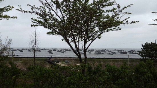 지난 5월 2일 강풍을 동반한 비바람이 몰아쳤을 때도 중국어선은 조업를 했다. 그 뒤 강풍이 거세자 연평도 연안으로 대피한 중국어선 모습 .