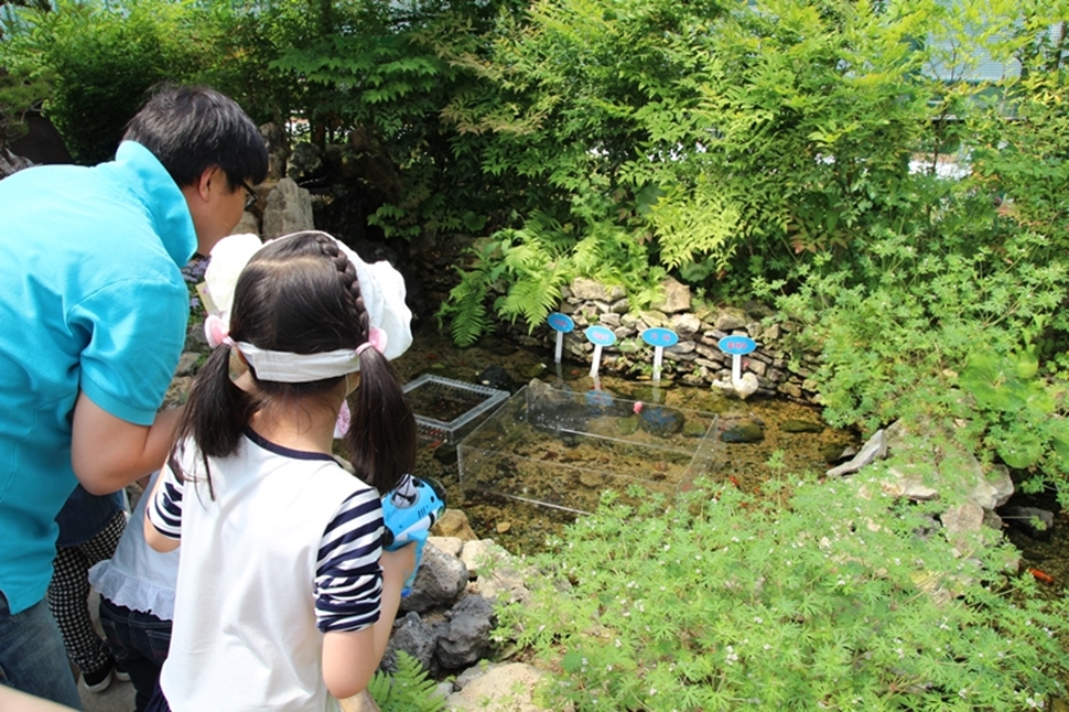 한 어린이가 아빠와 함께 호기심 어린 눈으로 연못의 생물들을 살펴보고 있다. 
