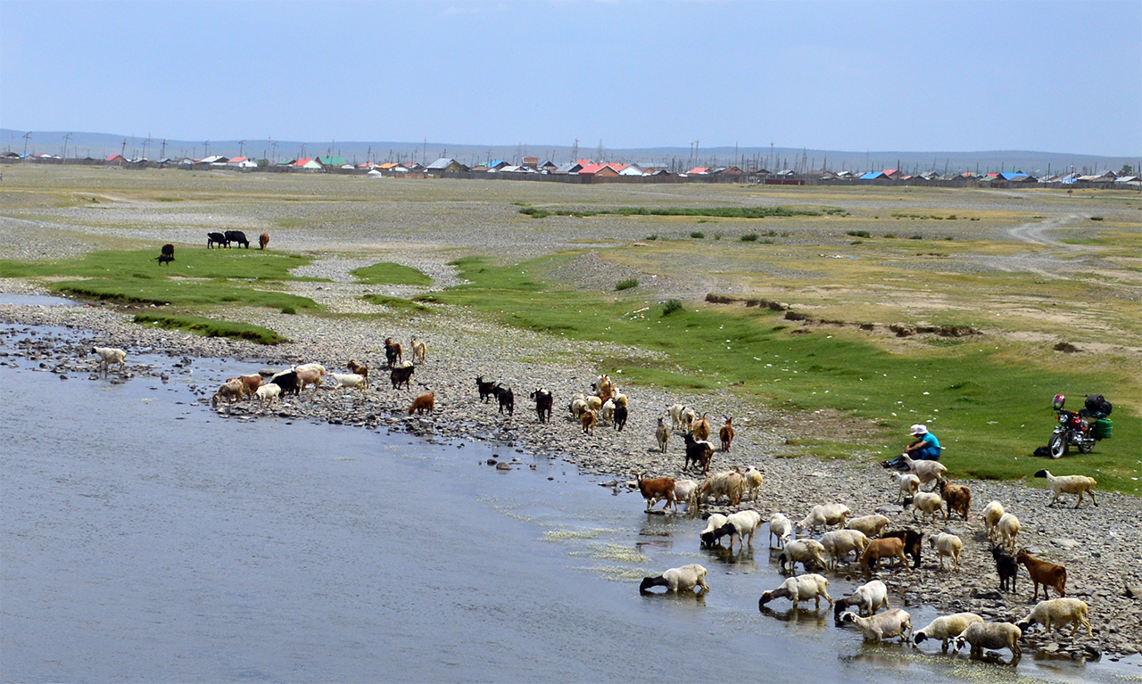 오르혼 강변. 몽골 중부의 이 광활한 강변과 초지는 몽골 유목생활의 중심이다.