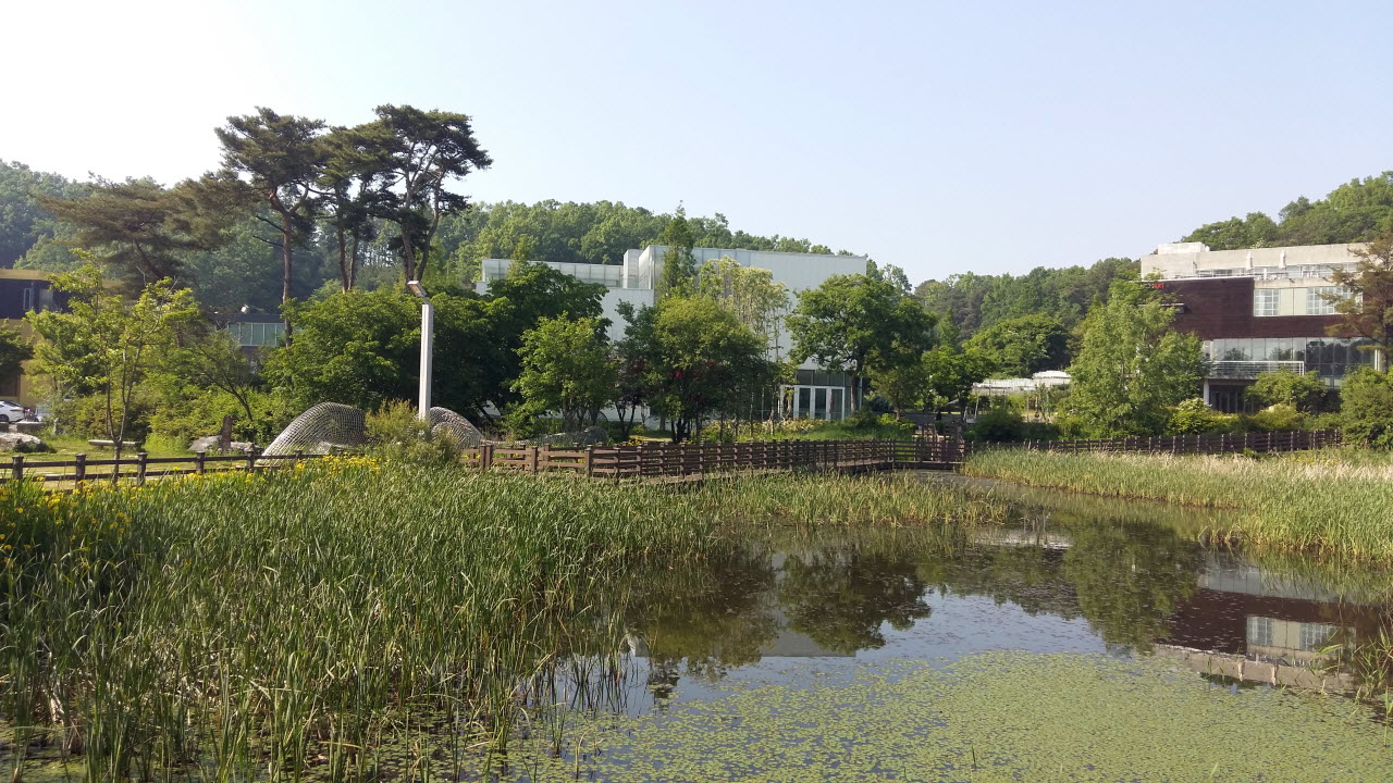 사람대신 고라니가 거닐고 푸른 하늘이 머리에 닿는 주 중의 헤이리는 주말, 인파의 모습과는 사뭇 대조적입니다. 