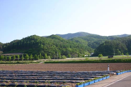  주실마을 앞산으로 조지훈은 청소년시절 이 산을 오르며 꿈을 키웠으리라.