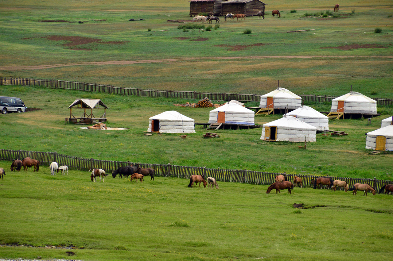 게르 캠프 앞에도 말들이 뛰노는 목가적인 풍경이 펼쳐진다.