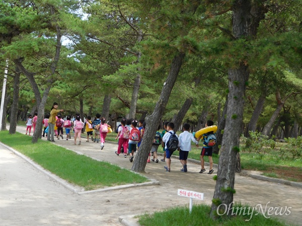 선생님의 인솔 아래 해수욕장으로 향하는 초등학생들.