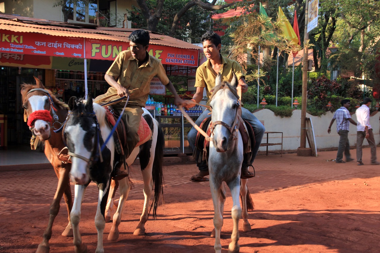 마테란의 마부들  주민 대부분이 말을 이용한 관광업에 종사하고 있다 