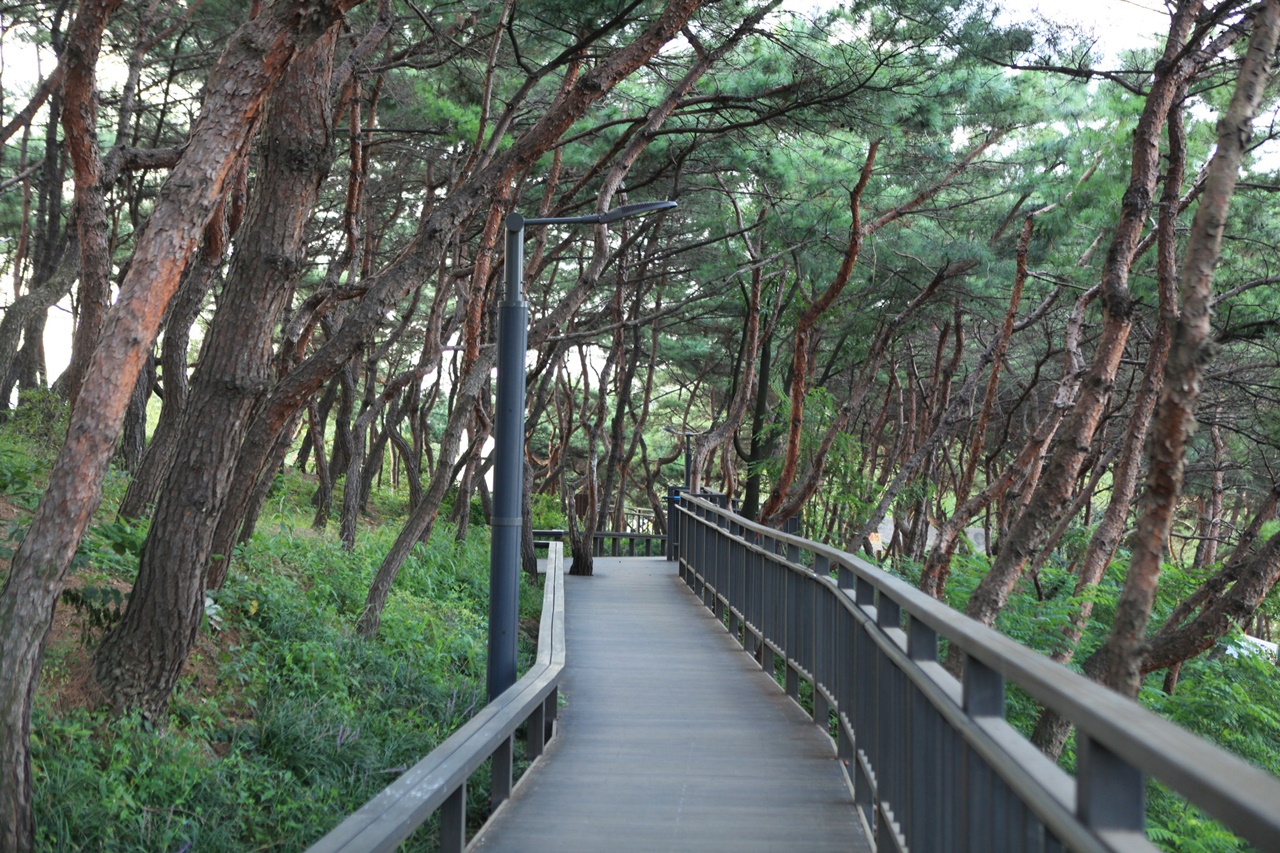 아차산 숲길 호젓한 마지막 코스