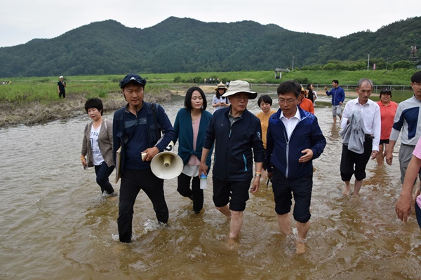 더불어민주당 문재인 전 대표가 시민들과 함께 신발을 벗은 채 맨발로 내성천을 걷고 있다. 