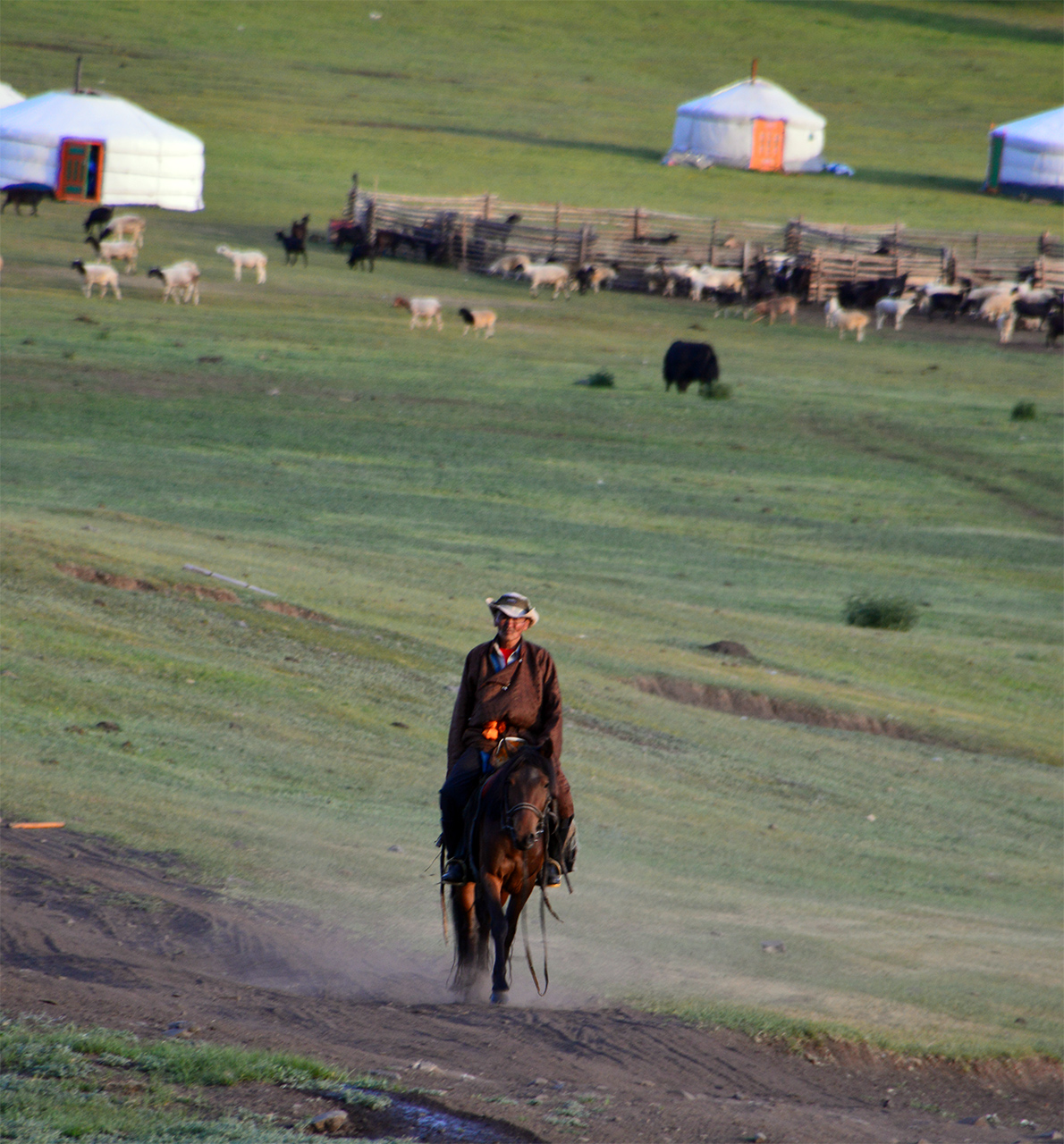 초원의 몽골인. 말을 타고 가축들을 몰던 몽골 아저씨가 반가운 아침 인사를 건넨다.