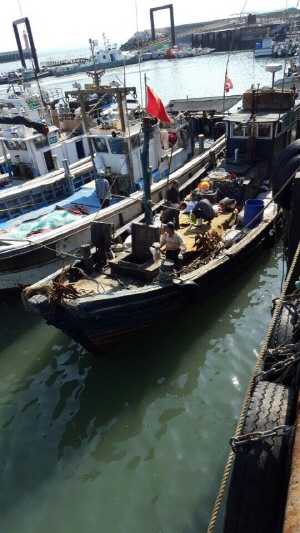 연평도 어민들이 중국어선을 나포한 뒤 연평도항으로 끌고 온 다음 배에 승선해 불법조업한 어획물과 어구 등을 살펴보고 있다.  