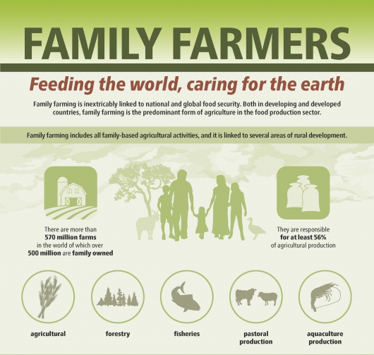 세계식량농업기구(FAO)의 가족농 홍보물
