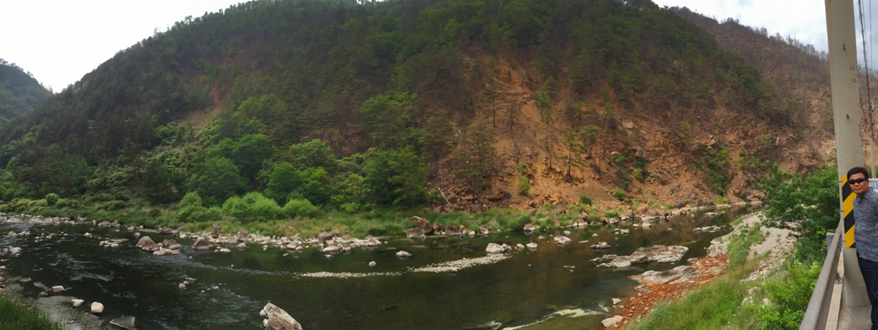 황산으로 황폐화된 산림