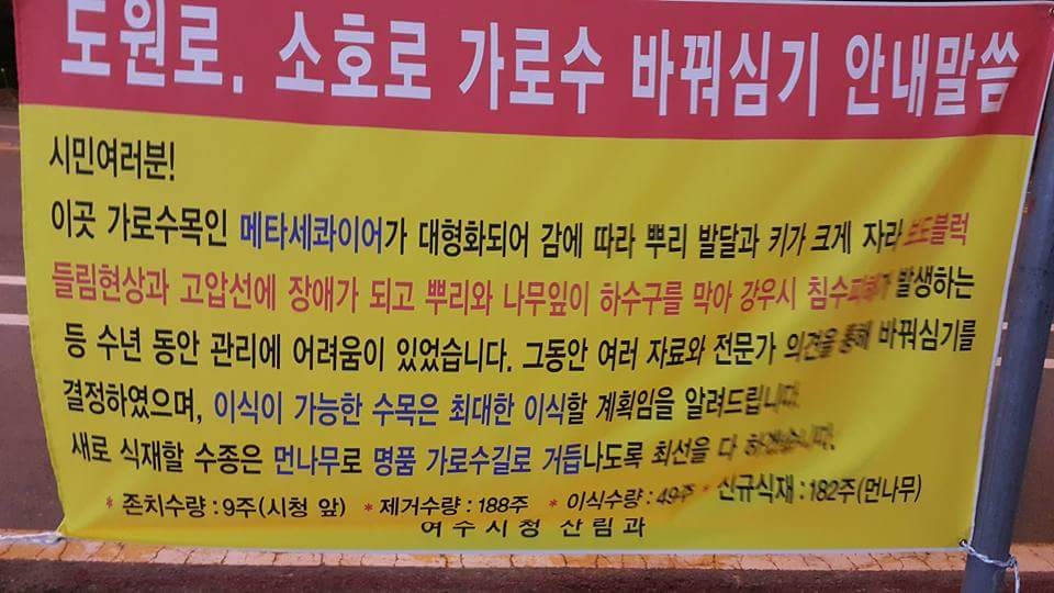  여수시가 추진중인 가로수 바꿔심기사업이 페이스북에서 논란이 일자 담당부서인 산림과에서 내건 안내문의 모습