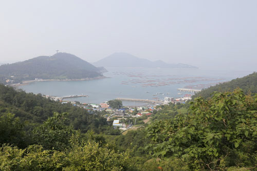  백두목장에서 내려다 본 풍경. 마을을 배경으로 전복 양식장이 보인다. 왼쪽 산자락에는 완도타워가 서 있다.