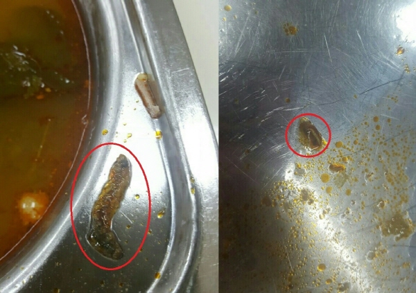 지난 22일, 인천 모 여고 급식에서 나온 애벌레 추정 이물질(붉은선 안).