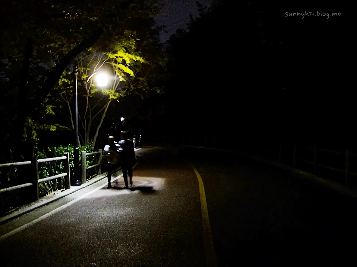  발소리, 말소리가 모두 소근소근하게 들려 정다운 남산 길.