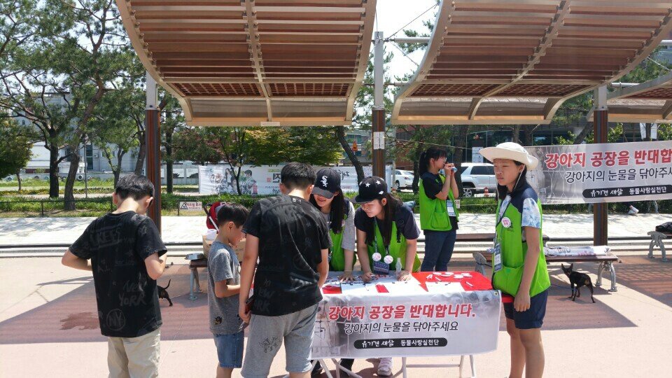 일요일에도 이어진 서명운동 화성행궁에서 나들이를 즐기고 있는 시민들을 상대로 서명운동을 진행하고 있다. 