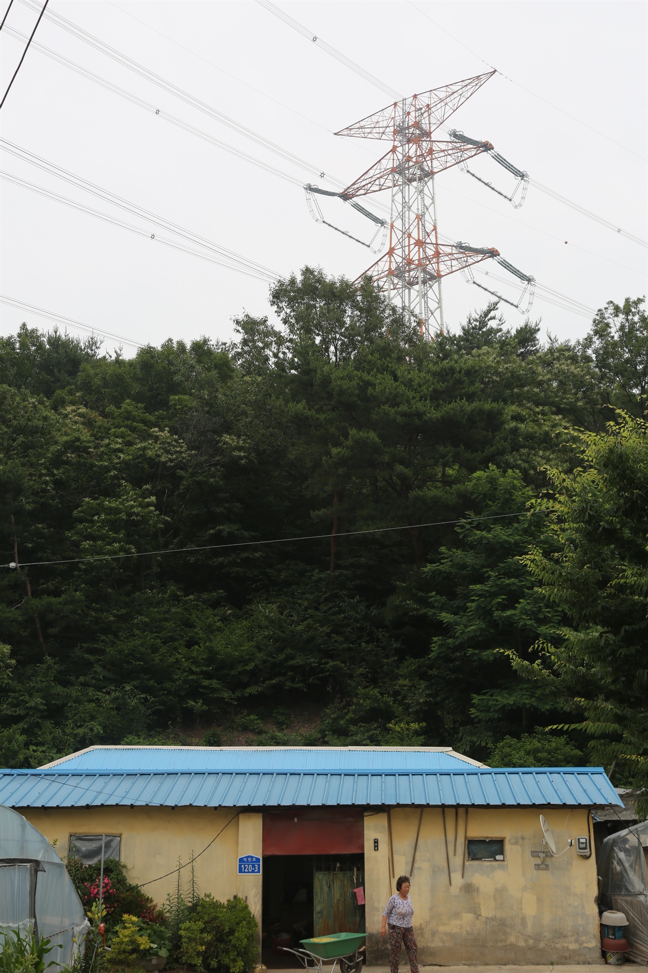 구룡동 주민 이근천 씨 집 바로 뒤에 고압송전탑이 위치해 있다.