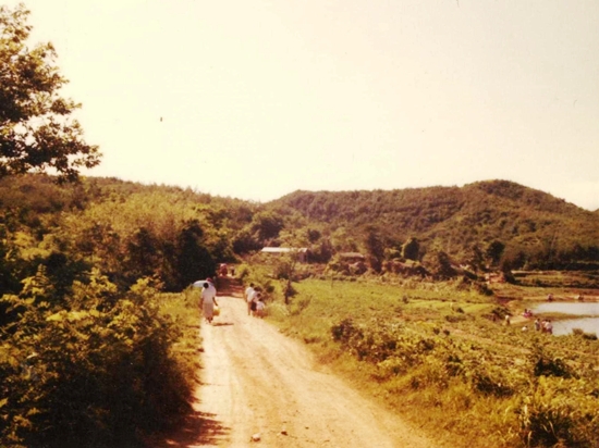  1970년대 은파호수공원 주변 길
