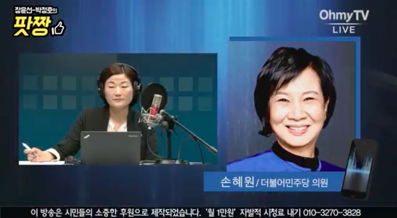손혜원 더불어민주당 국회의원