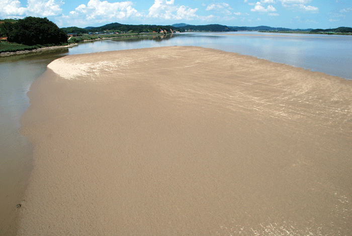 4대강 사업으로 준설이 이루어졌던 충남 부여군과 익산시를 연결하는 웅포대교 아래가 재퇴적으로 거대한 모래섬이 만들어지고 있다.