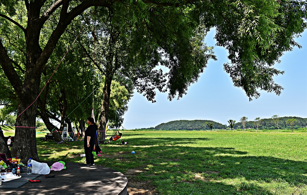 엄청난 규모의 잔디광장과 오래된 버드나무가 시원한 그늘을 제공해 많은 이들이 가족단위로 찾는 양양군 남대천의 수변공원.