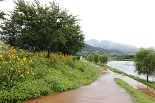소나기 내린 직후의 서시천변. 종일 소나기가 오락가락한 지난 7월 6일 풍경이다.