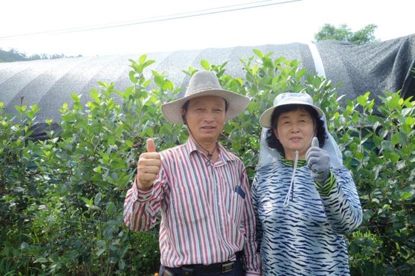          아로니아를 재배하는 정연순부부