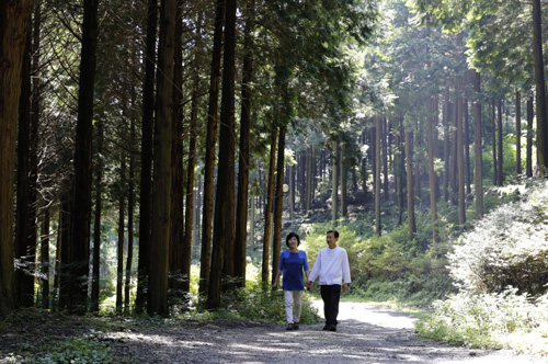 무등산편백휴양림이 품은 편백숲. 햇살이 내리쬐는 여름이지만 편백숲은 그늘이 드리워져 선선하다. 그 길을 두 사람이 걷고 있다.