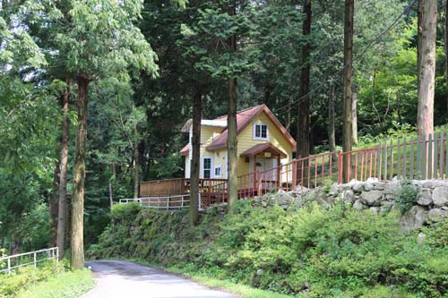 무등산편백휴양림에 들어앉은 숲속의집. 편백숲 오솔길과 떨어진 숲속에 여행객들이 쉴 수 있는 집이 띄엄띄엄 들어서 있다.