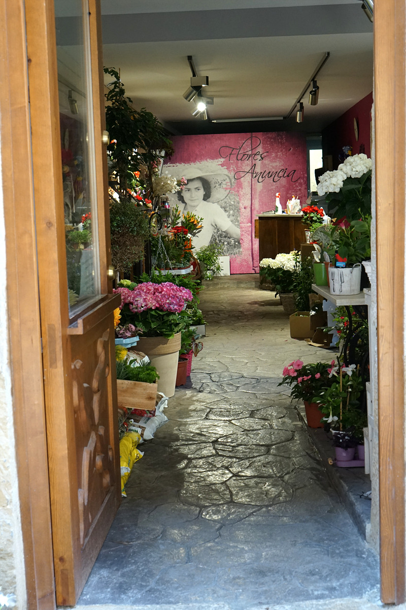  푸엔테 라 레이나 시내의 꽃가게