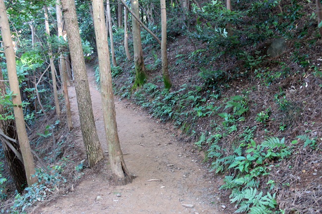 거제도 우제봉 오르는 산책길은 아늑했습니다.