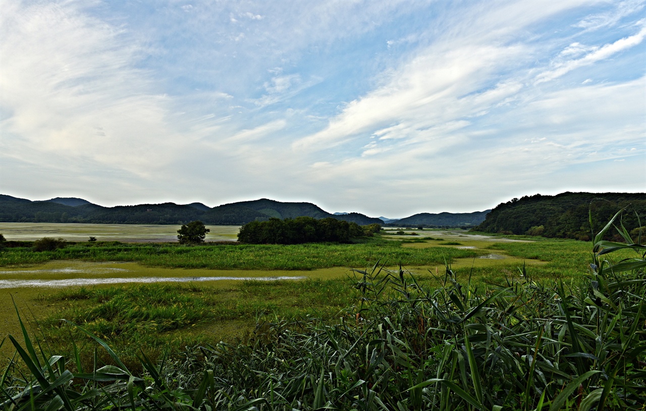 우포습지 소벌(우포), 나무벌(목포), 쪽지벌, 모래벌(사지포)4부분으로 나뉘어 있는 우포습지에서 가장 넓은 소벌의 일부 모습.