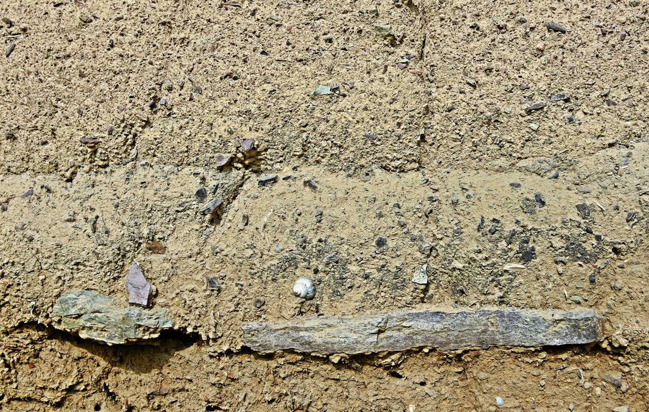 건축재료로 사용된 습지의 진흙 습지의 진흙으로 그대로 가져다 벽돌을 만들어 지은 집의 벽면에서는 습지생물의 잔해까지 그대로 보여진다.