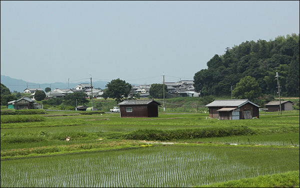 아스카 지방 마을은 마치 한국의 시골을 보는듯 하다.