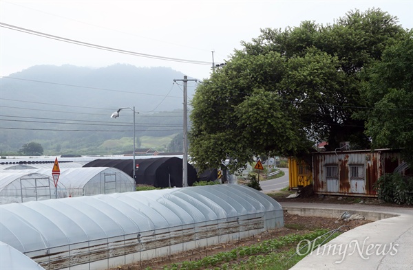 세상 고요하던 성주 땅에... 사드? 사드배치 부지로 결정된 성산포대(왼쪽 산 정상)는 경북 성주군 성주읍 성산리 마을에 인접하고 있다.  