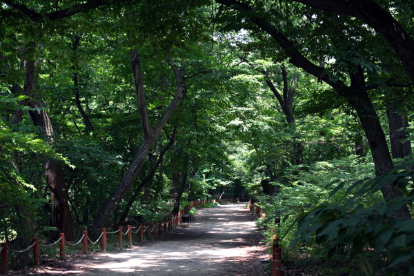 함양 상림공원