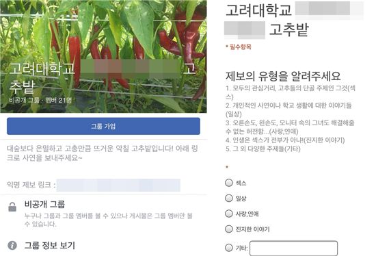 고려대학교 학생들이 페이스북 비밀그룹 '고추밭'을 만들고 그 안에서 여학생들을 성희롱해 논란이 일고 있다.  