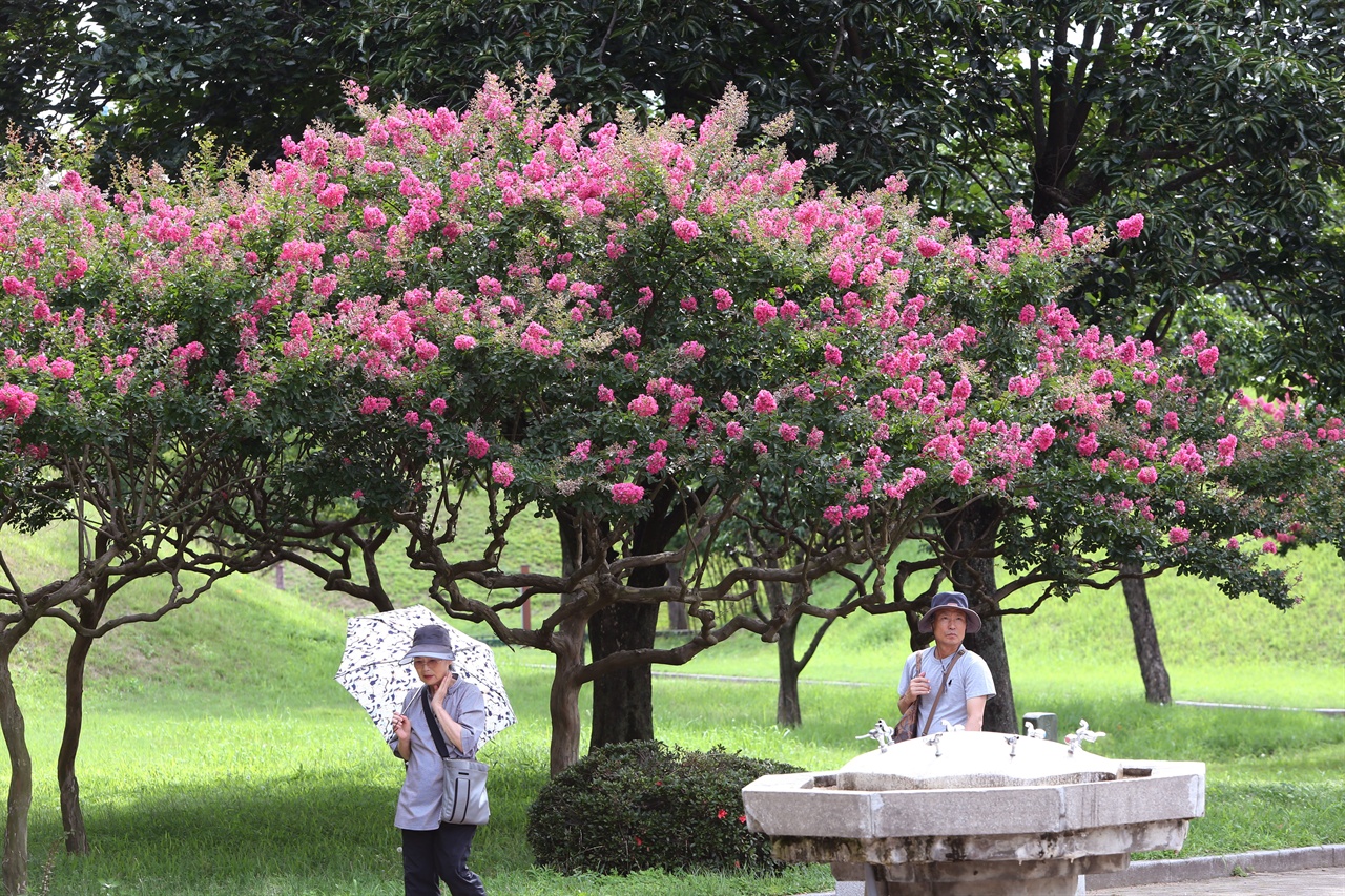 대릉원 꽃그늘 아래서 잠시잠깐 휴식을 취하는 관광객들.