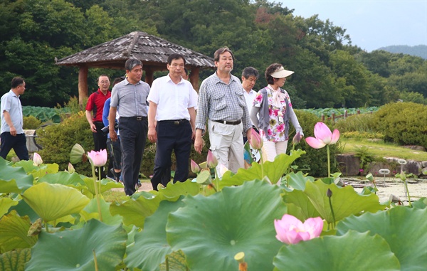 ‘경청투어’를 하고 있는 김무성 전 새누리당 대표가 7일 고향인 경남 함양군 상림공원 연꽃단지를 걷고 있다.