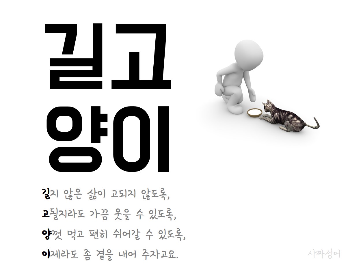 (사짜성어) 길고양이 같이 걷는 길이라는 걸 잊지 말자구.