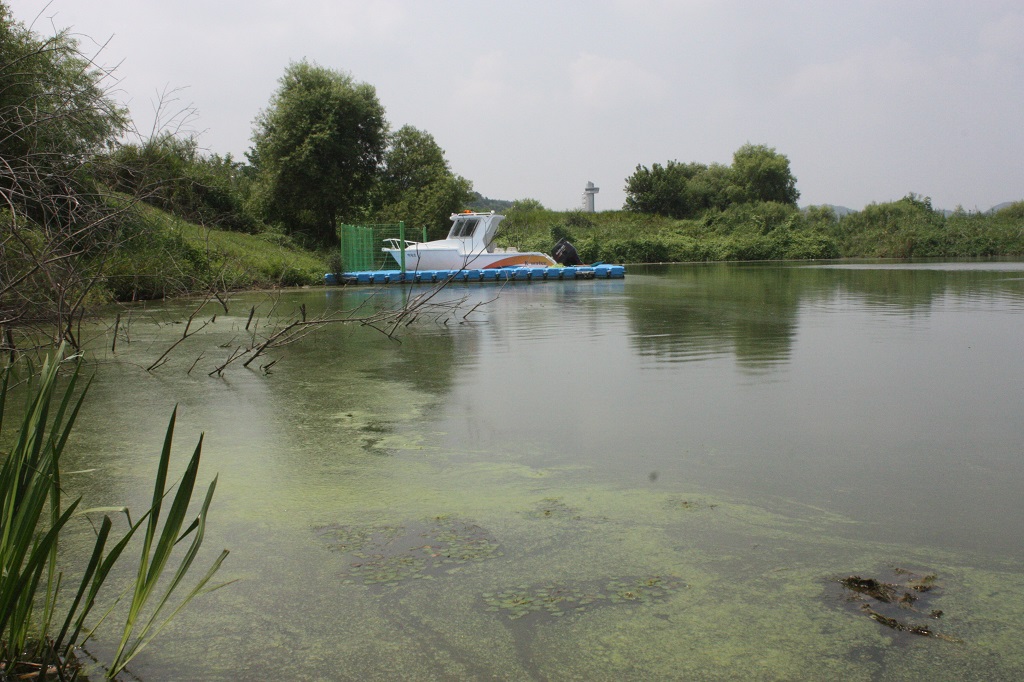 수자원공사의 배가 떠있는 금강에 녹조가 발생해있다