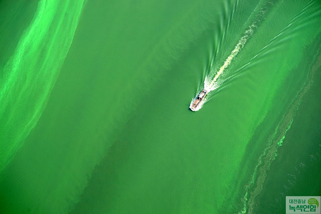 15년도 대전충남녹색연합에서 항공촬영한 부여 부소산성과 낙화암 아래 백마강