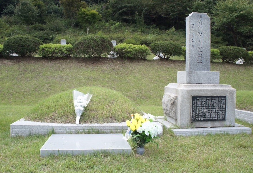 해방된 조국에서 인민군에 의해 죽임 당한 장이호 선생 묘소.