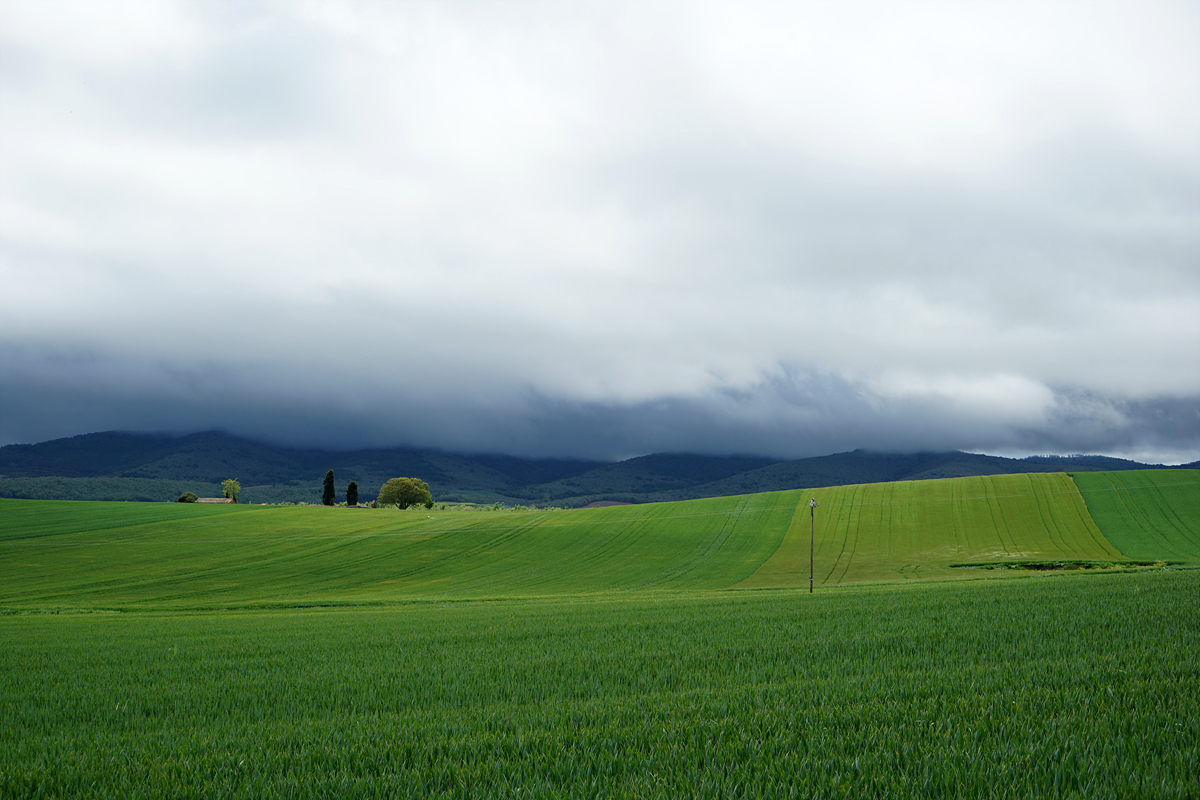 밀밭과 산위의 구름